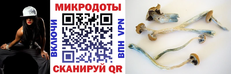 как найти наркотики  Спасск-Дальний  Псилоцибиновые грибы ЛСД 